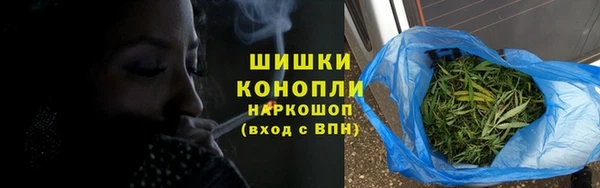 СК Волоколамск