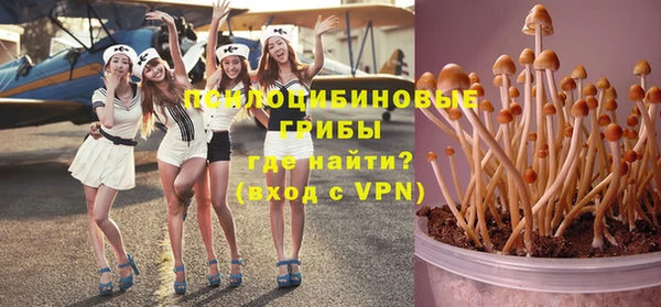 гашик Верея