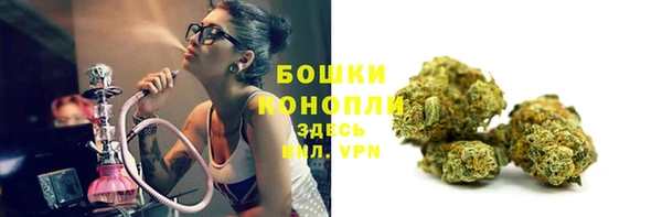 гашик Верея