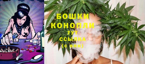 гашик Верея