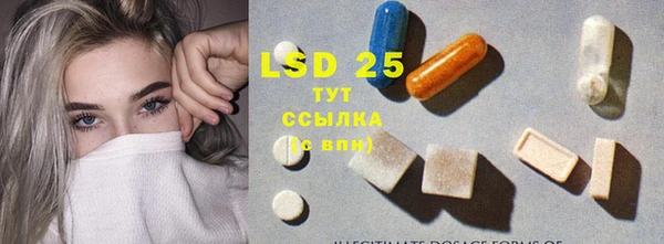 гашик Верея