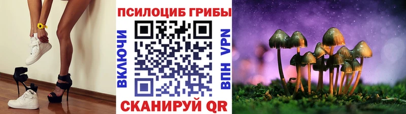 закладка  Карабаново  Галлюциногенные грибы ЛСД 